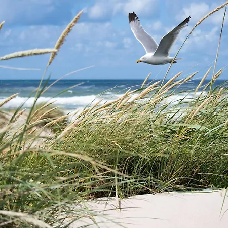 In Belgium With Coastal Views Апартаменты